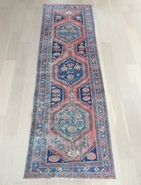 Maeve 3'1" x 10'3"