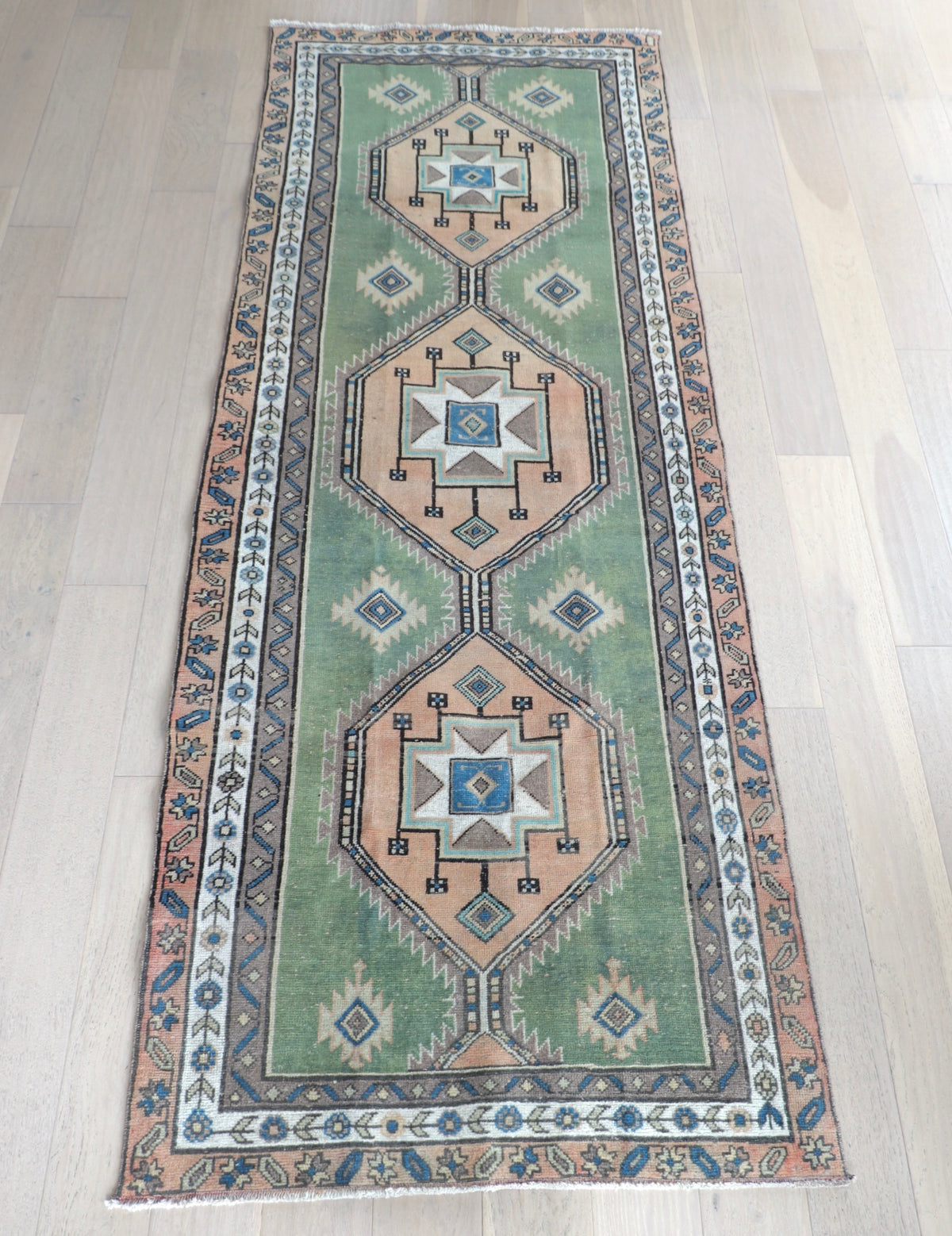 Ari 3'8" x 10'1"