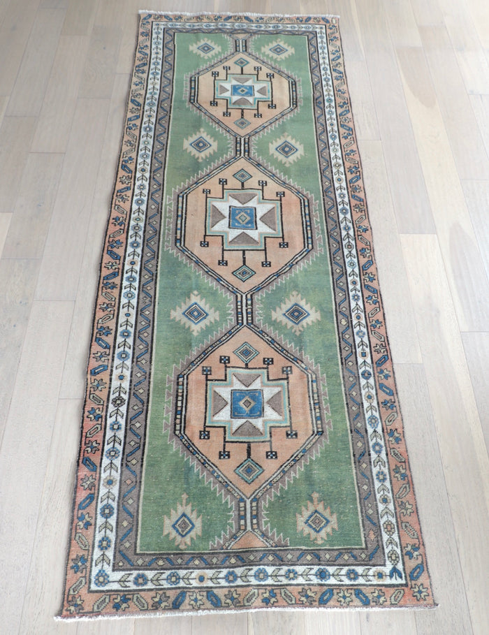 Ari 3'8" x 10'1"