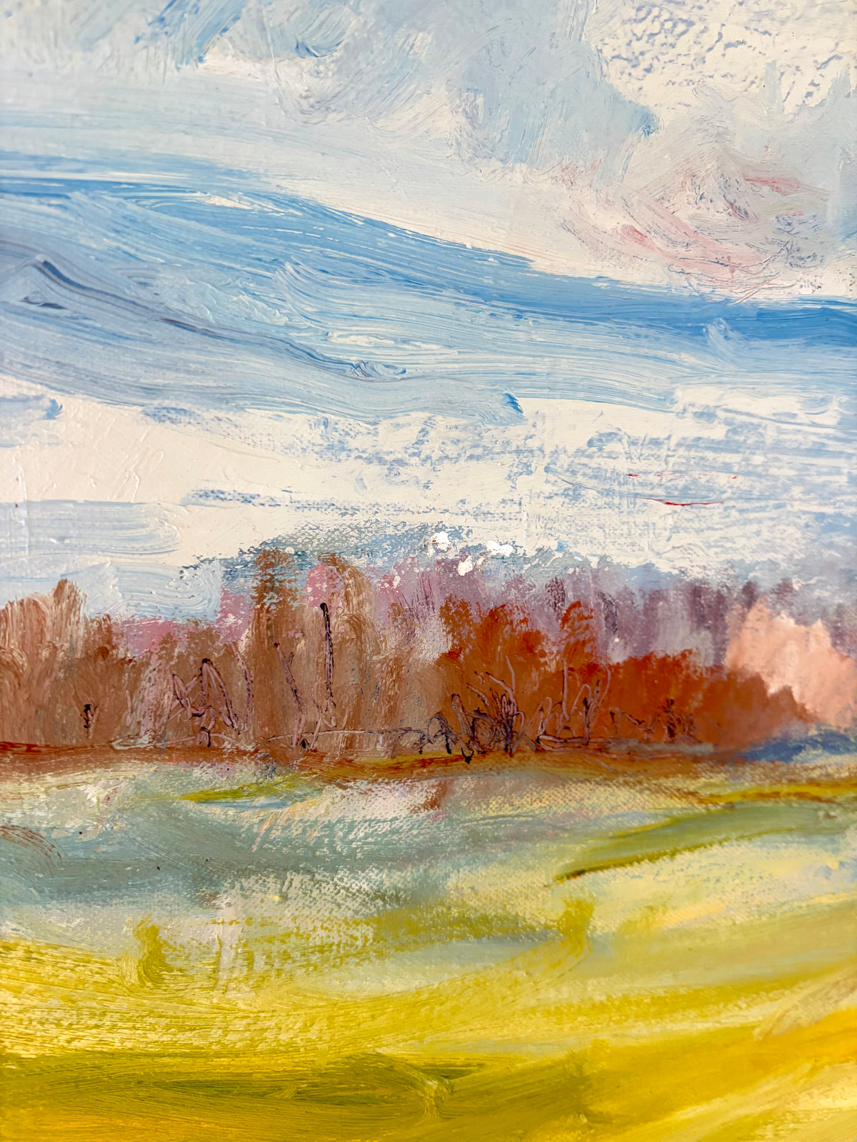 Sweeping meadow 26” x 21.5”