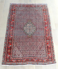 Paloma 4'5" x 6'10"