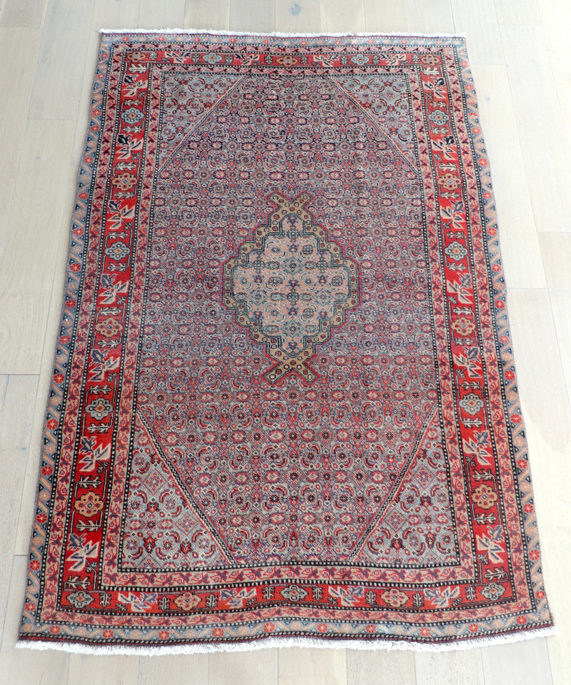Paloma 4'5" x 6'10"