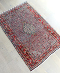 Paloma 4'5" x 6'10"