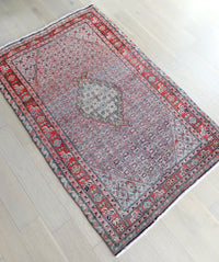Paloma 4'5" x 6'10"