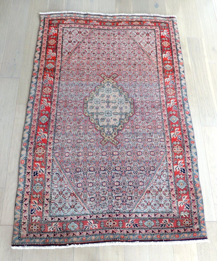 Paloma 4'5" x 6'10"