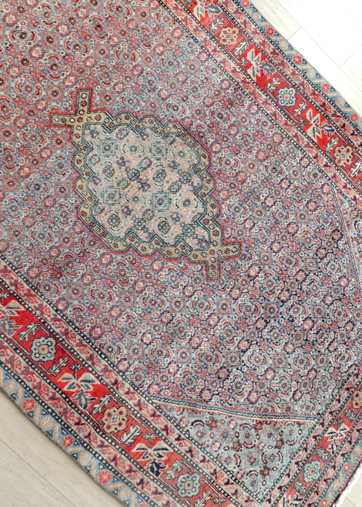 Paloma 4'5" x 6'10"