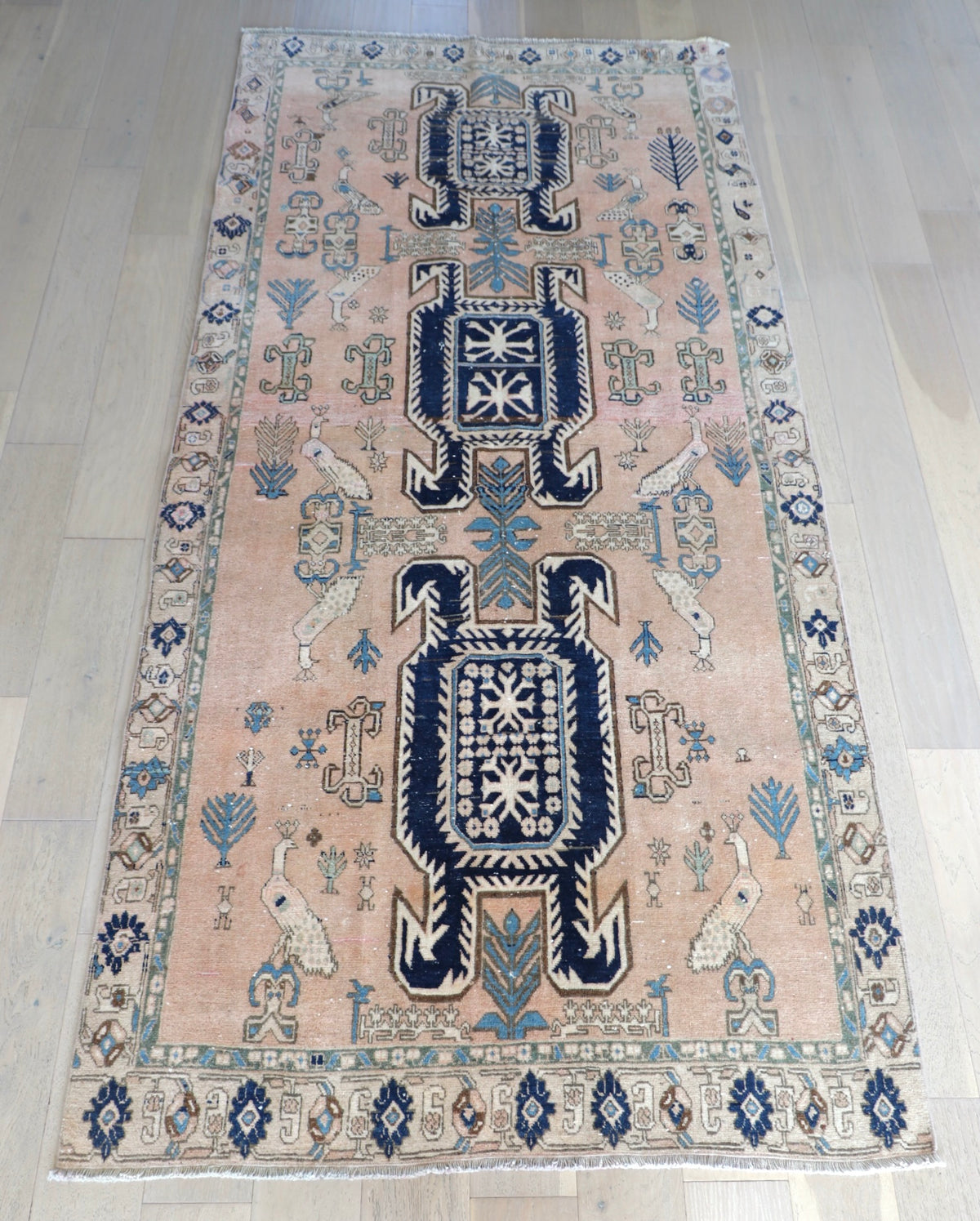 Victoria 4'7" x 9'10"