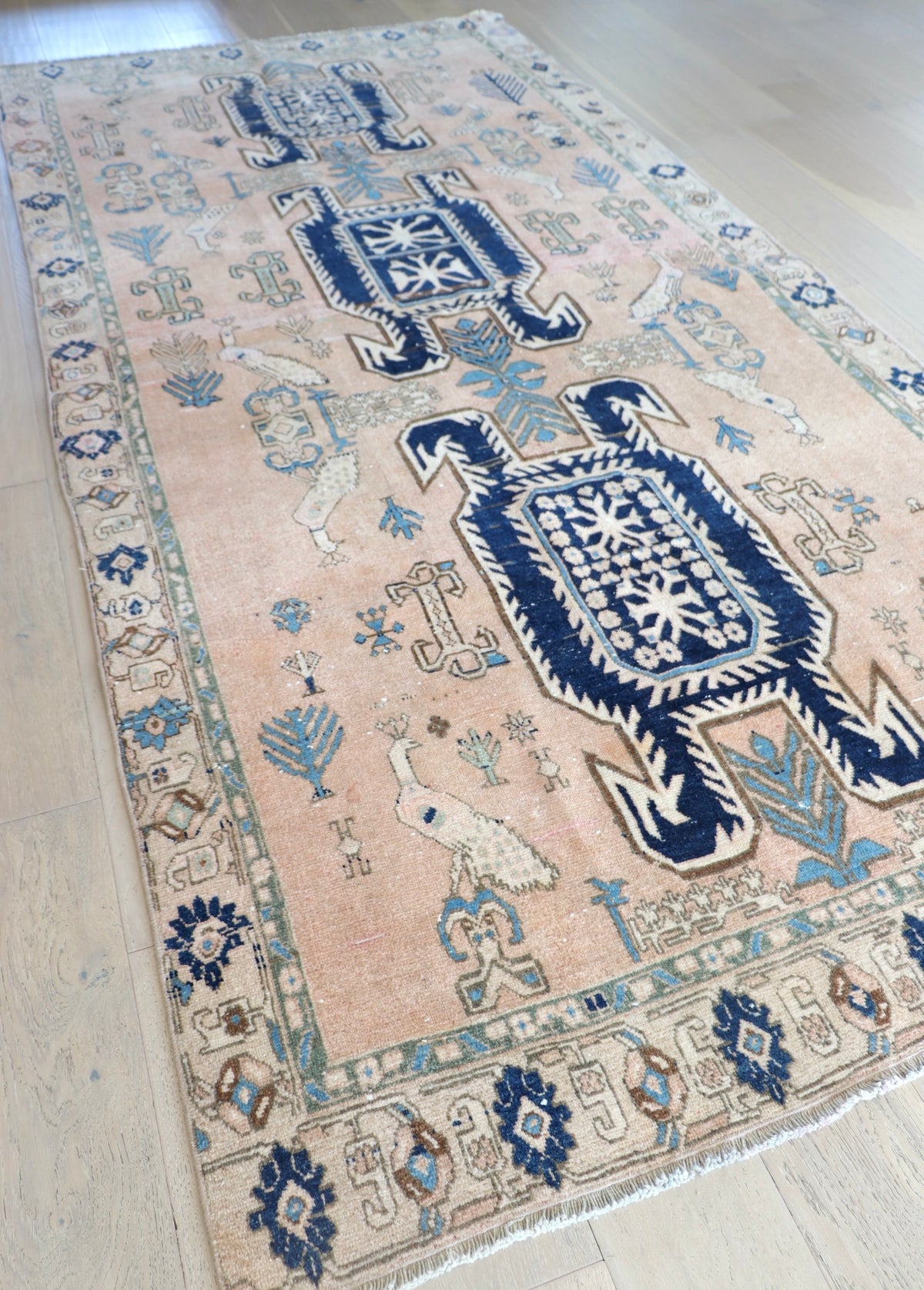 Victoria 4'7" x 9'10"