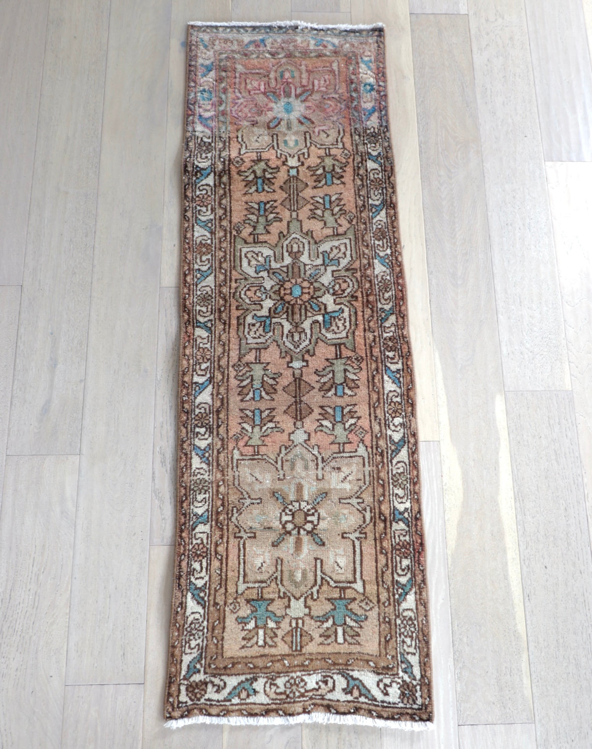 Colette 1'10" x 5'10"
